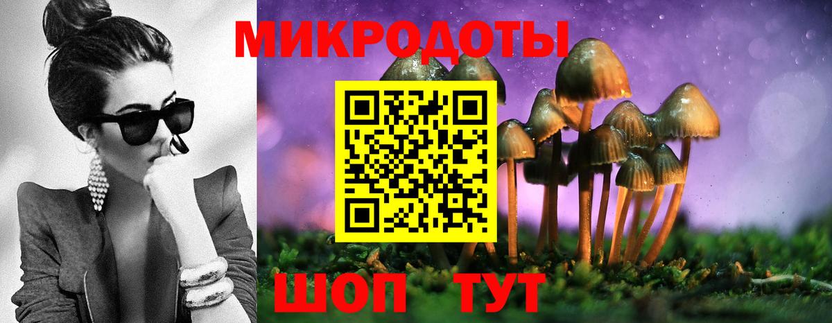 Галлюциногенные грибы мухоморы  Галлюциногенные грибы мицелий  Вход с VPN  Людиново 